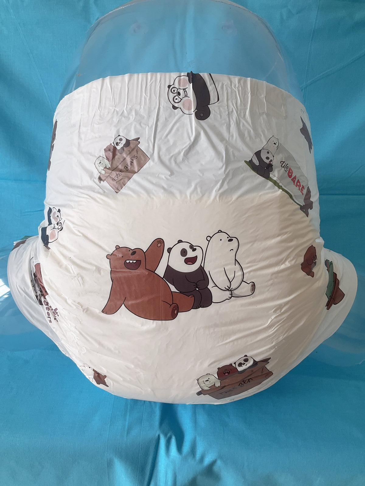 The bear
